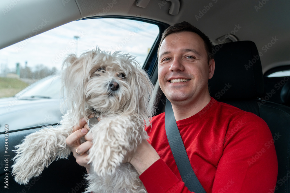 Happy man hugs his white lapdog and smiles at camera. Owner of a fluffy Chinese crested dog travels by car. Travel with pet concept. Happy man hugs his white lapdog and smiles at camera. Owner of a fluffy Chinese crested dog travels by car. Travel with pet concept.