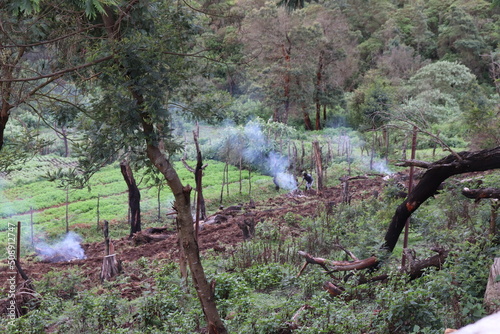 Kodaikanal Landscape