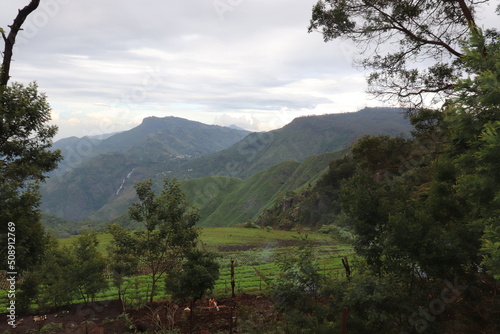 Kodaikanal Landscape