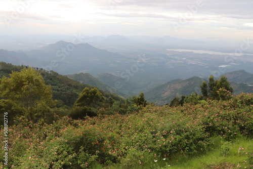Kodaikanal Landscape