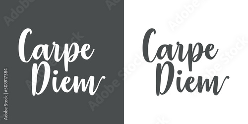 Texto manuscrito Carpe Diem para su uso en banner, carteles y tarjetas en fondo gris y fondo blanco