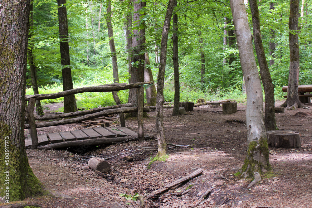 Glade in the forest with a wooden bridge Glade in the forest with a wooden bridge