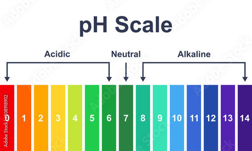 Chart ph acidic, neutral and alkaline scale. Ph value scale chart. Indicator diagram. Vector background.
