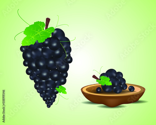 Black grapes with leaves isolated on white  background, Vector illustration.