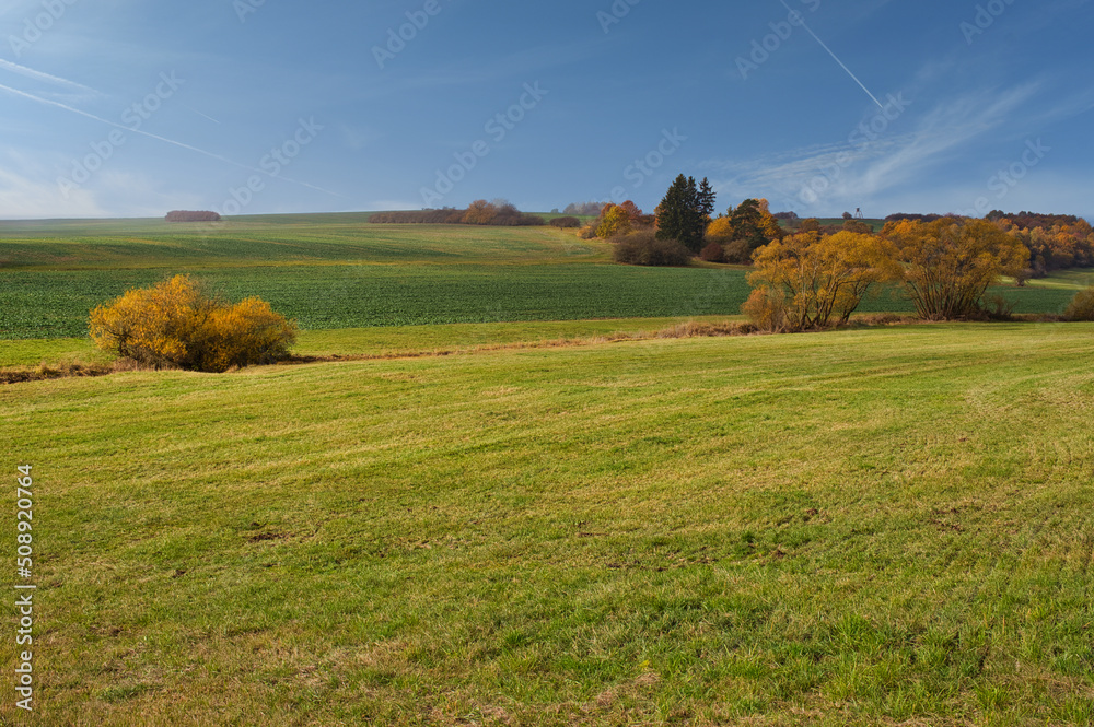 Fototapeta premium Wiesen Landschaft im Herbst