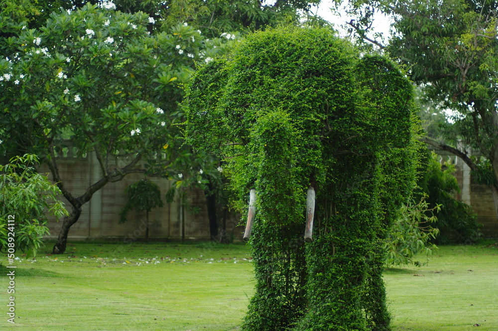 Elephant Elephant