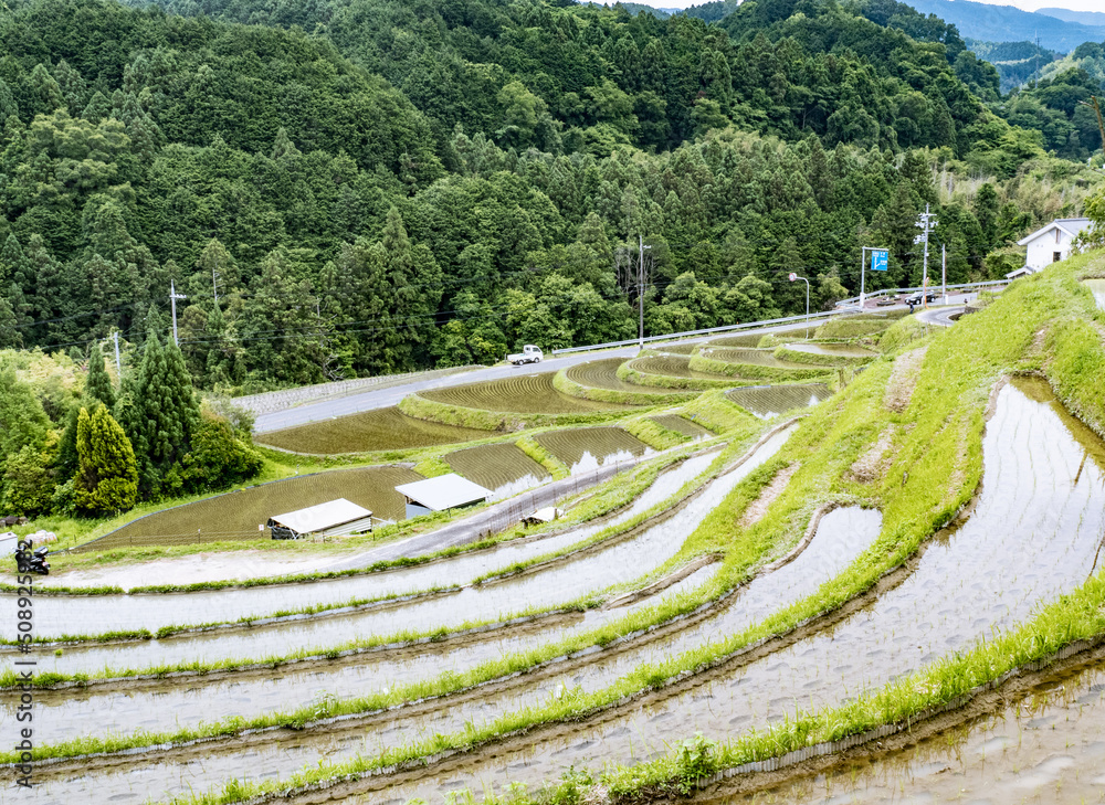 棚田の風景 棚田の風景