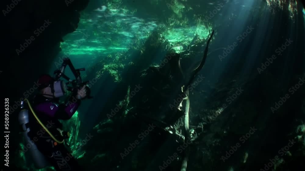 custom made wallpaper toronto digitalDiver over muddy water halocline near tree roots and sudden change of water salinity in cenotes of underwater cave in Mexico. Divers during cave diving. Phenomenon of wildlife in underwater world.