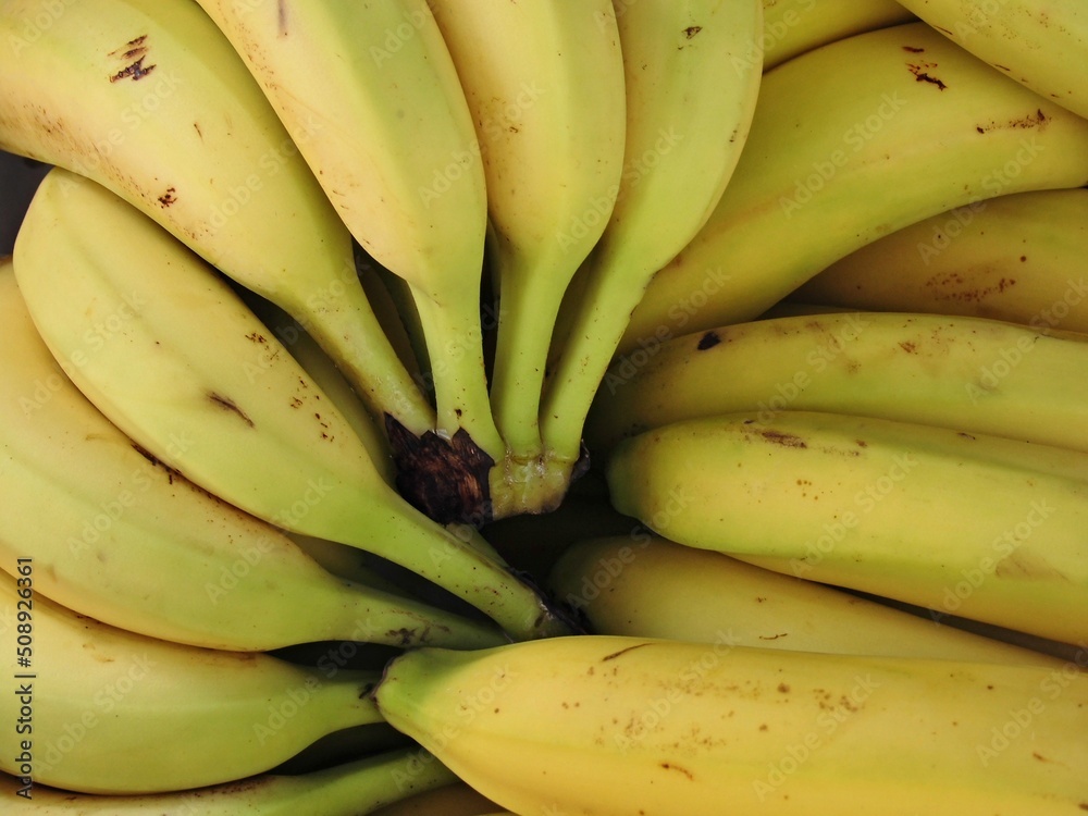 Bananas from the market 