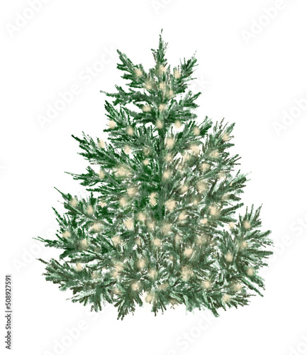 Evergreen pine tree in rustic pot with christmas lights,pine cone, firry. Watercolor illustration. Farmhouse Christmas tree isolated on the white background © BarvArt