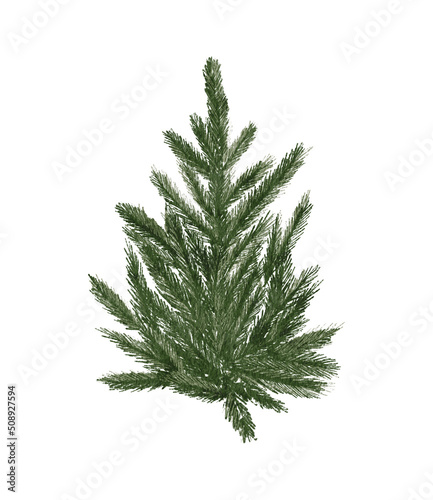 Evergreen pine tree in rustic pot with christmas lights pine cone  firry. Watercolor illustration. Farmhouse Christmas tree isolated on the white background
