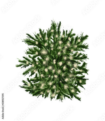 Evergreen pine tree in rustic pot with christmas lights pine cone  firry. Watercolor illustration. Farmhouse Christmas tree isolated on the white background