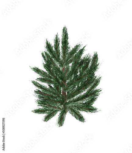 Evergreen pine tree in rustic pot with christmas lights pine cone  firry. Watercolor illustration. Farmhouse Christmas tree isolated on the white background