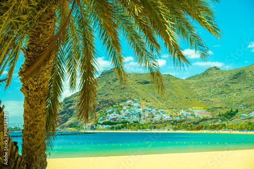 Fototapeta Naklejka Na Ścianę i Meble -  santa cruz playa teresitas tenerife palm tree beach ocean