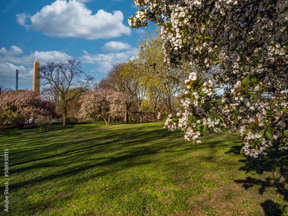 Central Park in spring