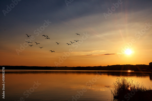See im Abendrot mit Vögel - Sunset - Landscape - Sunrise over sea - Beautiful sunset scene over the lake and silhouette hills in the background - Rangsdorf - Brandenburg - Deutschland