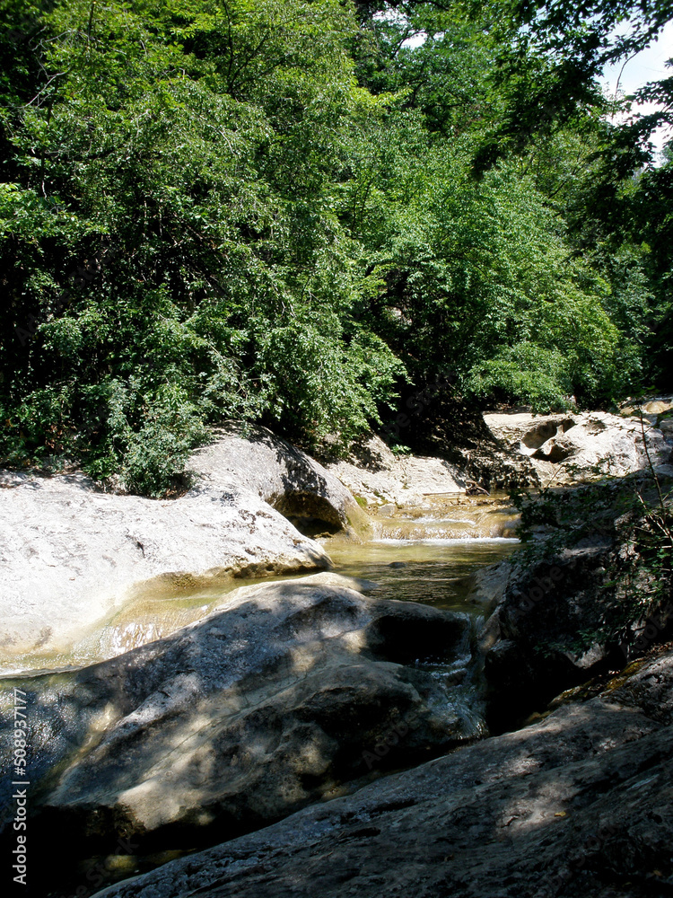 Naklejka premium river in the forest