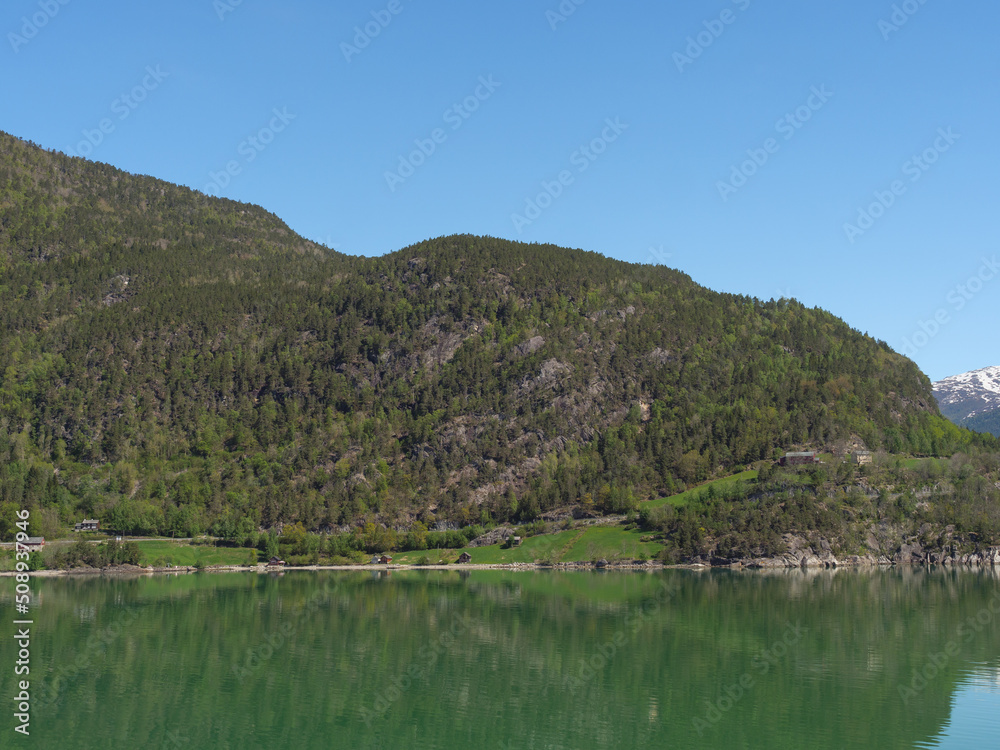 Fototapeta premium Der Hardangerfjörd in Norwegen