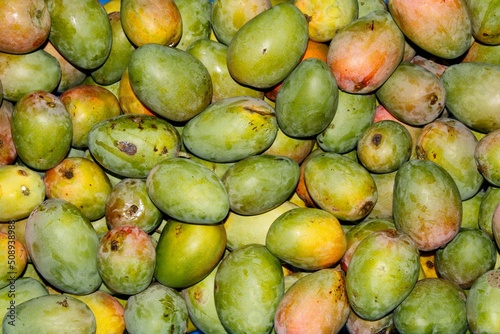 Lot of fresh mango fruits.