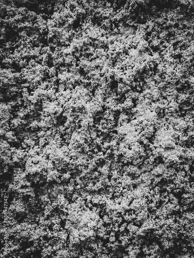 Dark grey black background or texture,Cement and Concrete .rough black and white background Dark grey black background or texture,Cement and Concrete .rough black and white background