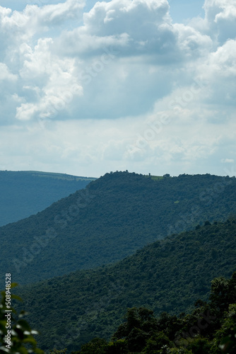 Wallpaper Mural Beautiful nature with trees and bright sky, good atmosphere. Torontodigital.ca