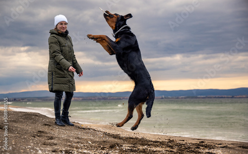 Woman playing with rottweiler dog in cold weather on the beach
