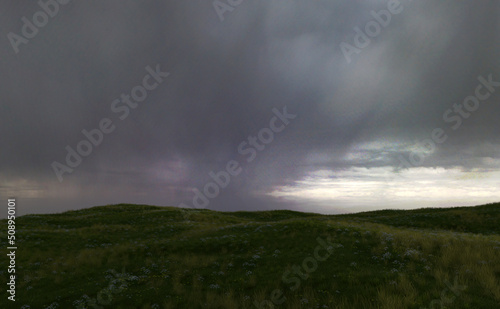 Rolling landscape with grassland and daisies under a dark cloudy sky. 3D render.