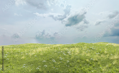 Rolling landscape with grassland and daisies under a cloudy sky. 3D render.