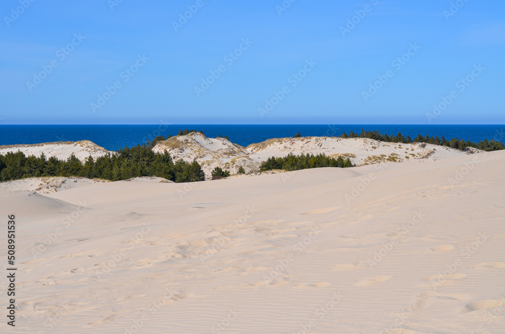 Slovinski national park, Leba sand dune on the Baltic coast, Poland, Europe Slovinski national park, Leba sand dune on the Baltic coast, Poland, Europe