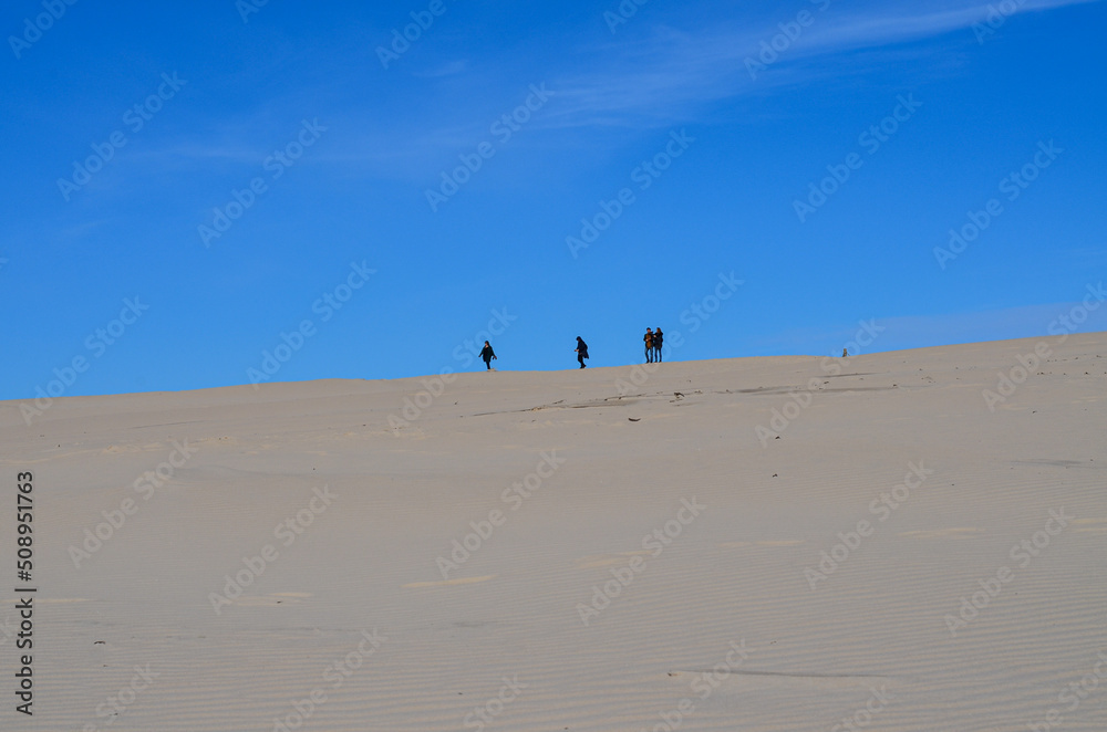 Slovinski national park, Leba sand dune on the Baltic coast, Poland, Europe Slovinski national park, Leba sand dune on the Baltic coast, Poland, Europe