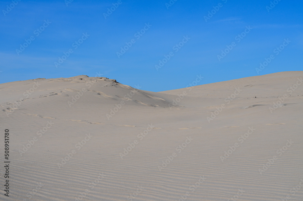 Slovinski national park, Leba sand dune on the Baltic coast, Poland, Europe
