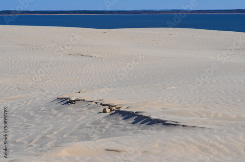 Slovinski national park, Leba sand dune on the Baltic coast, Poland, Europe