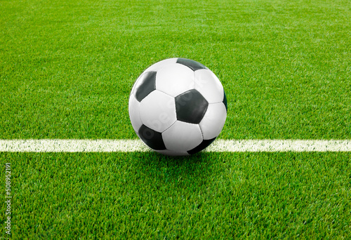 Soccer Fu  ball auf einer Linie auf dem Fu  ballrasen
