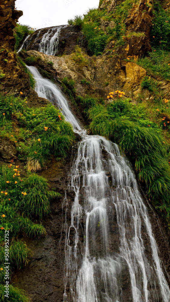Naklejka premium 佐渡島 五段の滝 トビシマカンゾウ