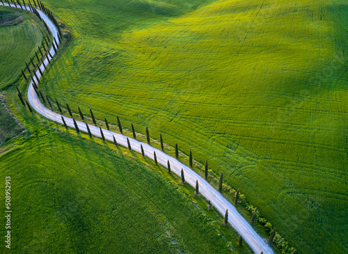 Cypresses alley in Tuscany hills in spring. Aerial view