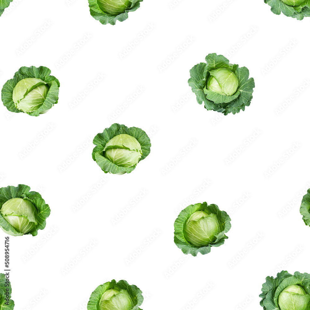 Cabbage isolated on white background, SEAMLESS, PATTERN Cabbage isolated on white background, SEAMLESS, PATTERN