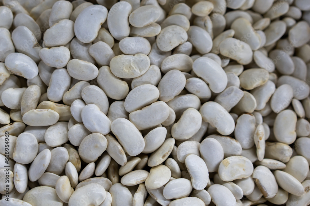 White Beans Large White Kidney Beans