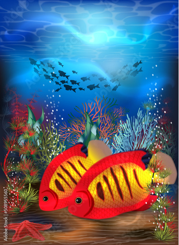 Underwater card with red yellow Tiger fish, vector illustration