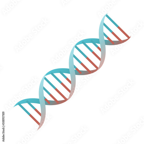 Cartoon DNA spiral genes vector isolated object illustration
