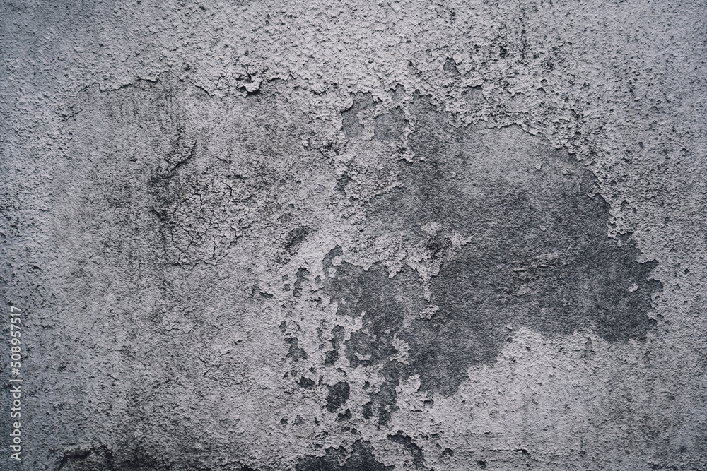 Fototapeta premium Background and texture of old stoned wall