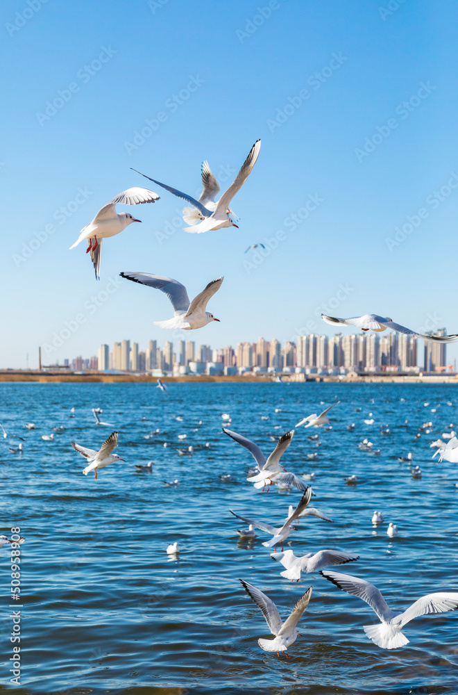 Seagulls flying by the sea