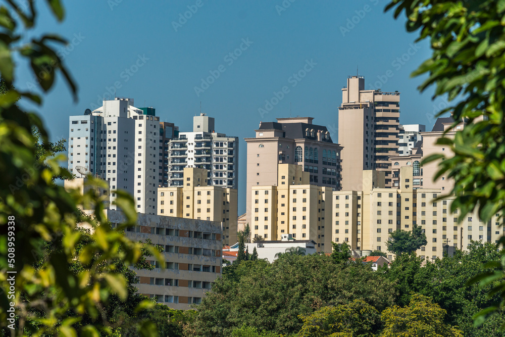Cityscape showing buildings ,blue sky and tree branches ,Piracicaba SP Brazil .