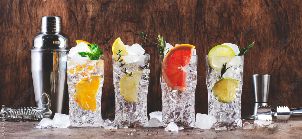 Φωτογραφία Gin tonic citrus summer cocktails set