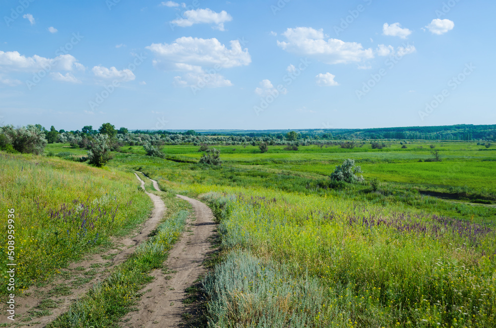 Landscape with a rural road in the meadows