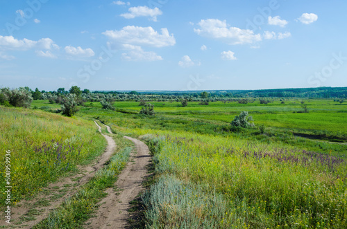 Landscape with a rural road in the meadows