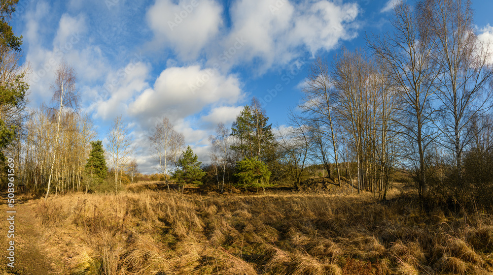 Obraz premium landscape with trees, dry grass and clouds in late autumn