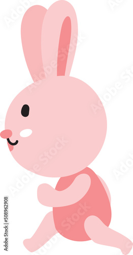 Cute rabbit cartoon