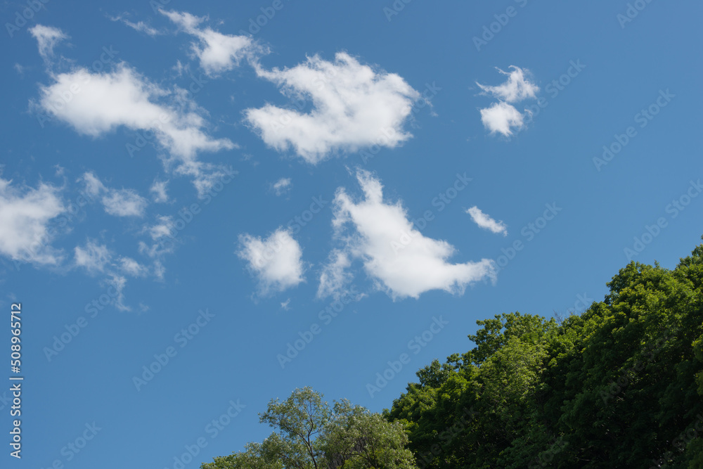 Obraz premium sky and clouds