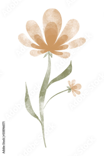 Watercolor trendy flower. Vector illustration for web, app and print. Elegant feminine shape floristic isolated chrysanthemum flower. Garden, botanical, minimalistic floral element.