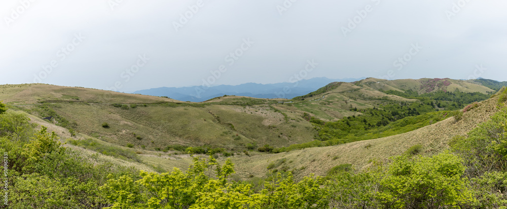大川嶺(愛媛県久万高原町、内子町) 大川嶺(愛媛県久万高原町、内子町)